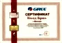 Сертификат Gree